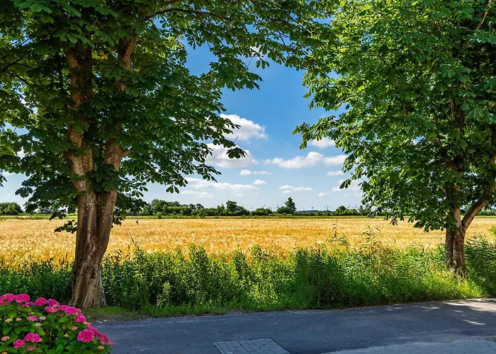 Vista 3 Гретзиль